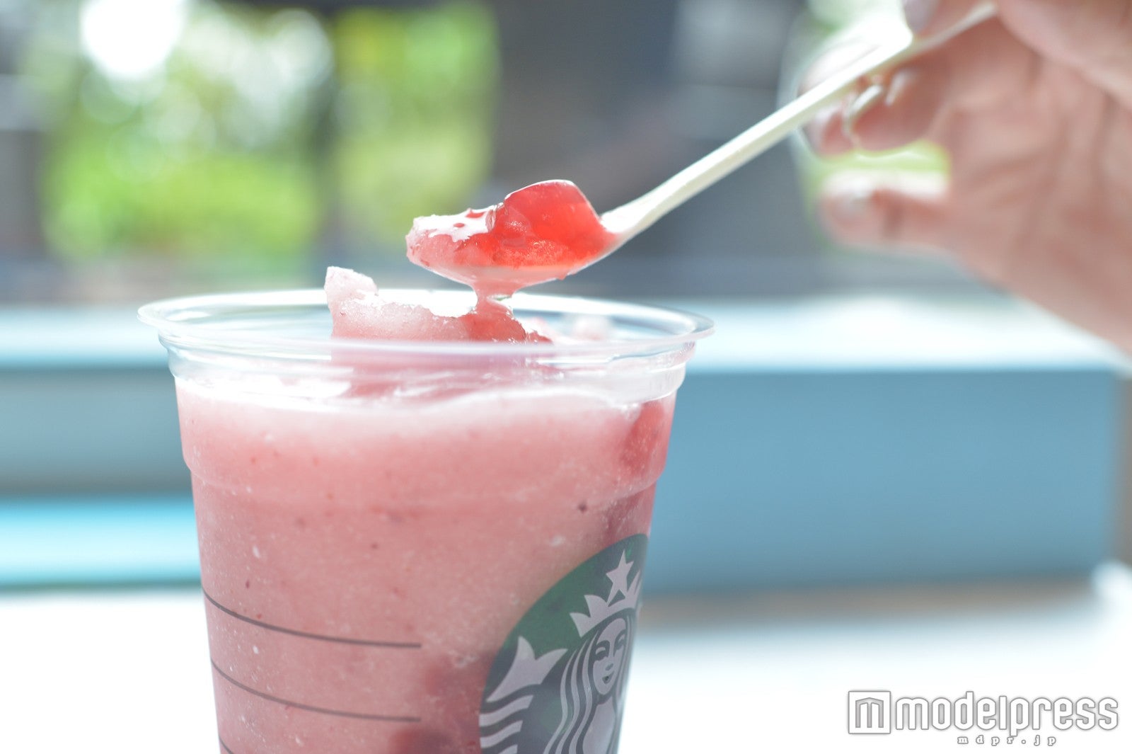 プルプルのジェリーが美味しい（C）モデルプレス