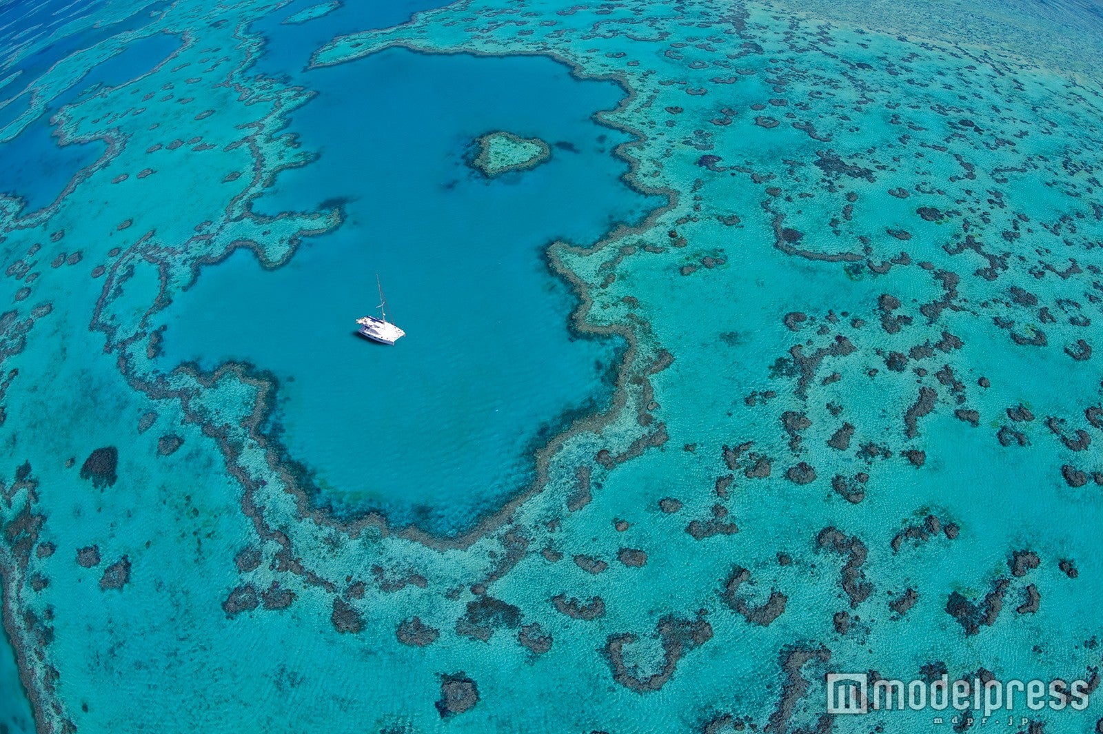 一度は行きたい楽園「ハミルトン島」で永遠に忘れられないカップル旅行を - 女子旅プレス