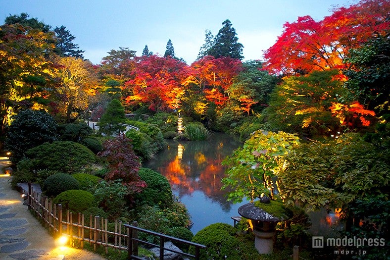 逍遥園ライトアップ／画像提供：TAN-SU