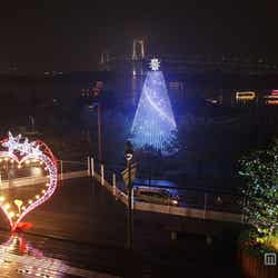 幻想的な景色にうっとり!イルミネーション輝く台場メモリアルツリー