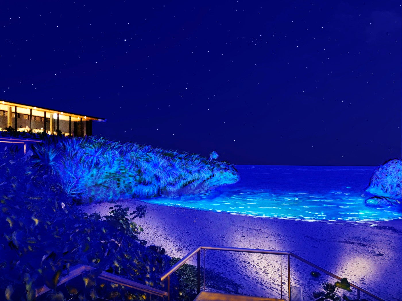 冬の夜だけの青い輝きが幻想的！