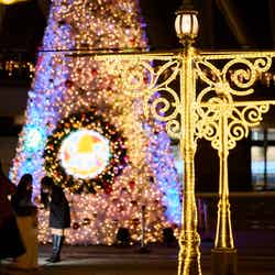 スカイアリーナ(昨年の様子)(C)TOKYO-SKYTREETOWN