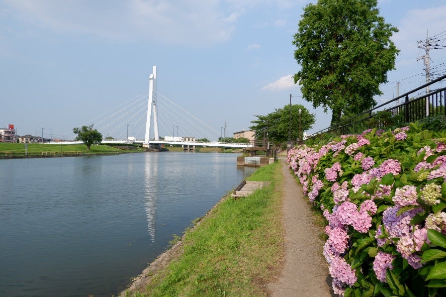 越谷・葛西親水緑道