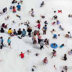 tamapaイメージ/画像提供:ハイ