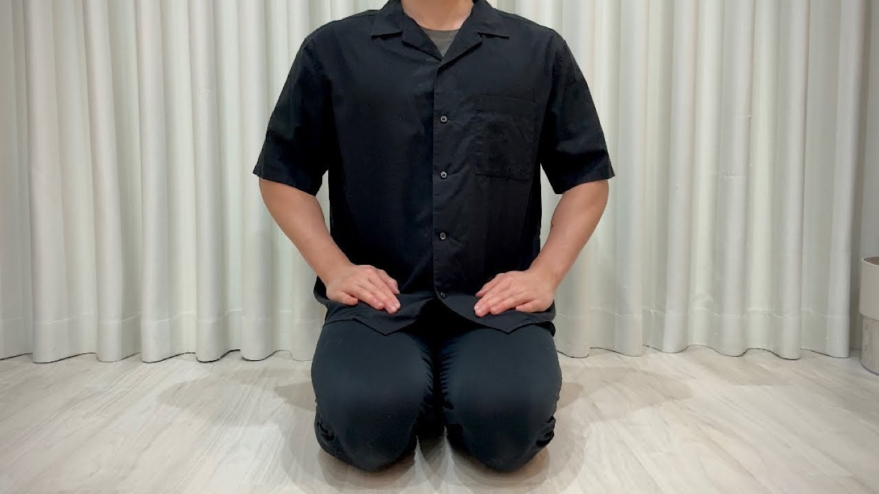 もちまる日記、TNR予定だった子猫たちについて悲しいお知らせ