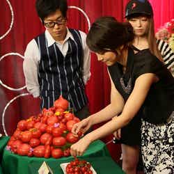 左から:山崎樹範、堀北真希、きゃりーぱみゅぱみゅ/画像提供:関西テレビ