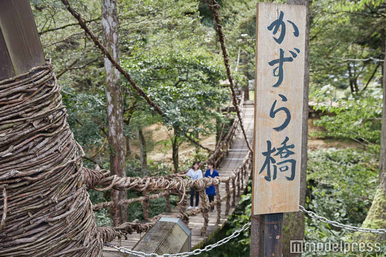 かずら橋（C）モデルプレス