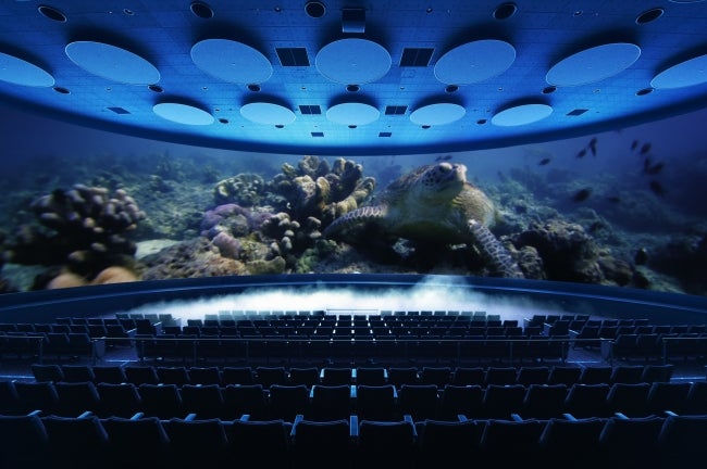 オービィ横浜／画像提供：オービィ横浜