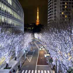 「けやき坂イルミネーション」(過去の様子)/提供画像