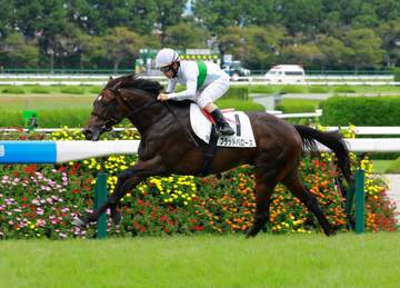 【新馬戦】ブラッドバローズ 直線突き抜け初陣V 松若が高評価「ゲートからつかまっていただけ。調教の手応え通り」