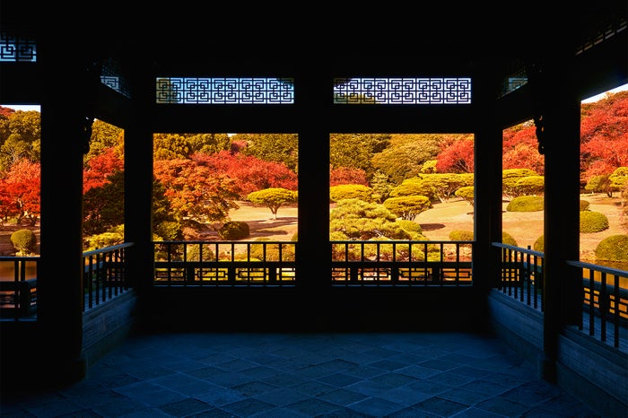 片道170円から行ける絶景 東京メトロ沿線の隠れた 絶景スポット 9選 女子旅プレス