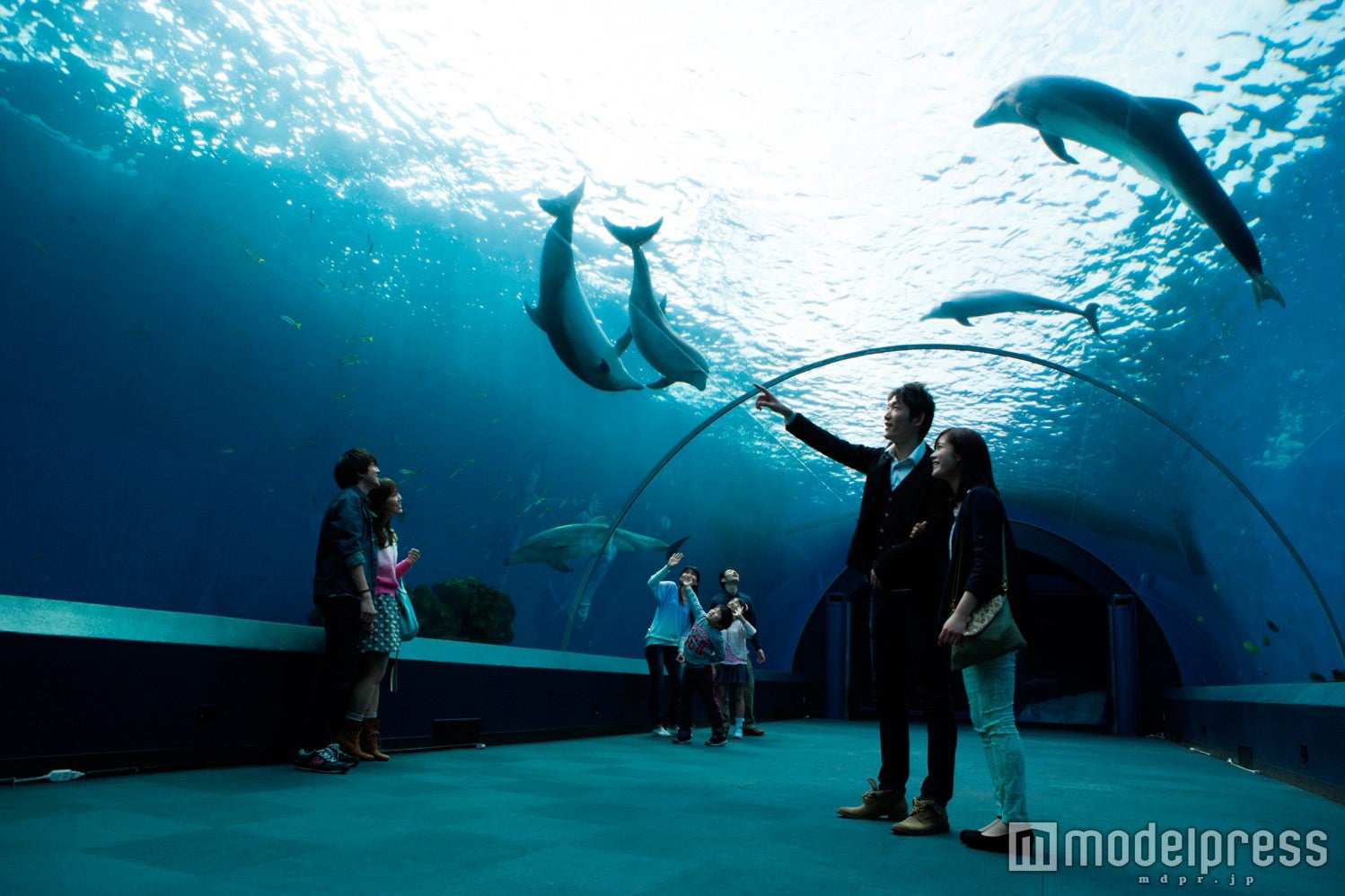 アーチ状水槽／画像提供：横浜八景島