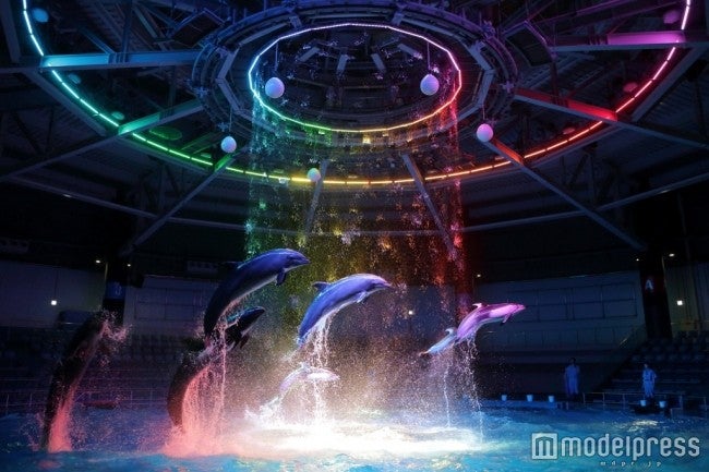 カラフルモンスターパーティー／ナイトパフォーマンス（イメージ）／画像提供：横浜八景島