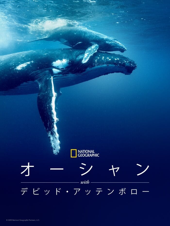 オーシャン