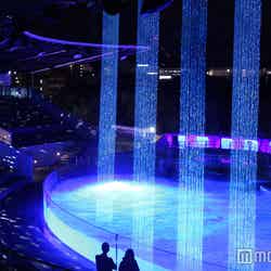 「夏の夜のすいぞくかん」/画像提供:京都水族館