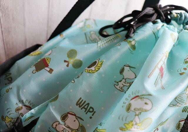 ムック　付録　宝島　画像　エコバッグ　スヌーピー　SNOOPY　カバー　巾着　