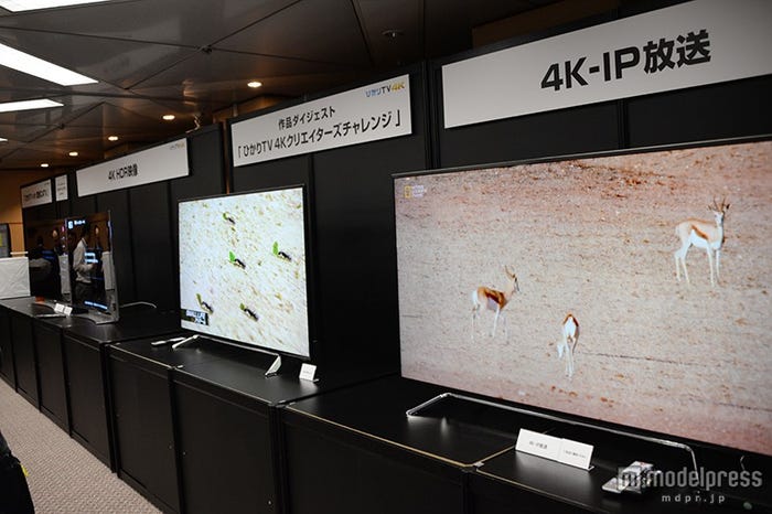 ひかりTV、4K-IP放送サービススタート/「ひかりTVチャンネル 4K」 「モデルプレスTV by ひかりTV 4K」の2チャンネル開局