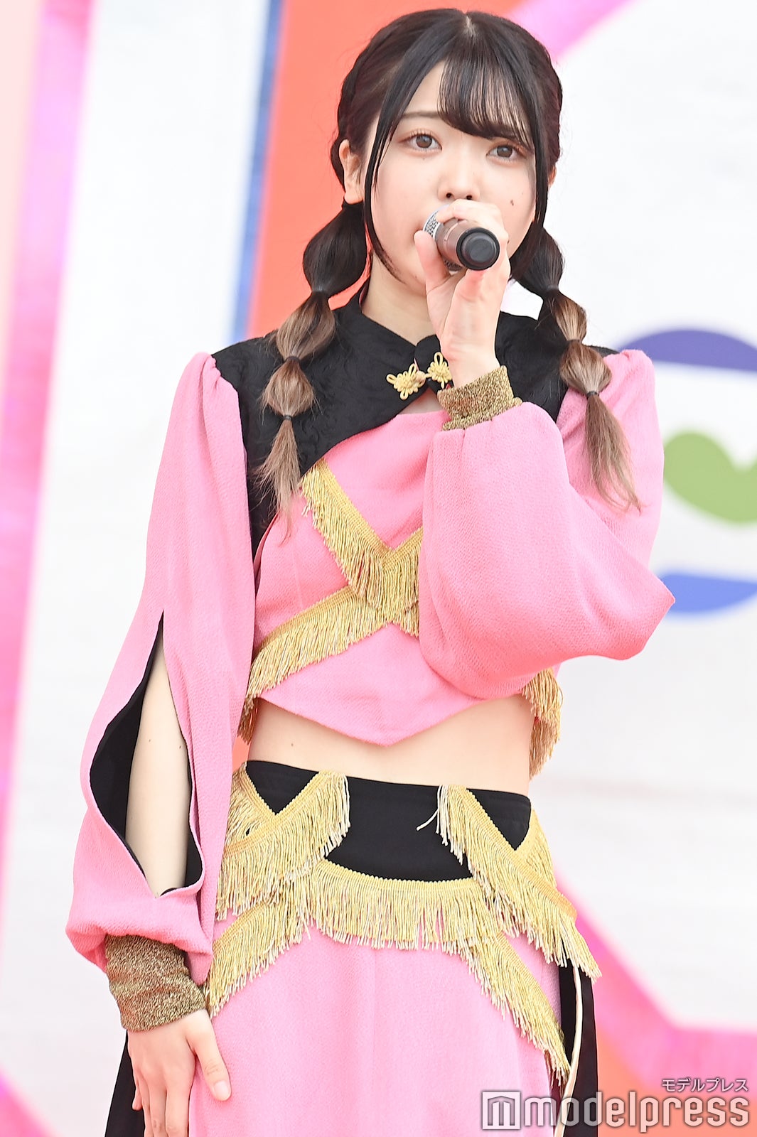 豆柴の大群（C）モデルプレス