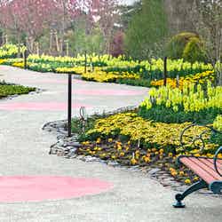 花路地/画像提供:ネスタリゾート神戸