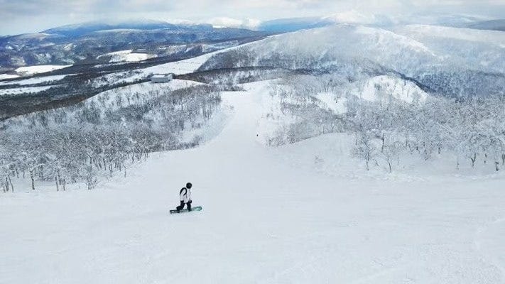 爽快なロングクルーズが楽しめるイゾラ