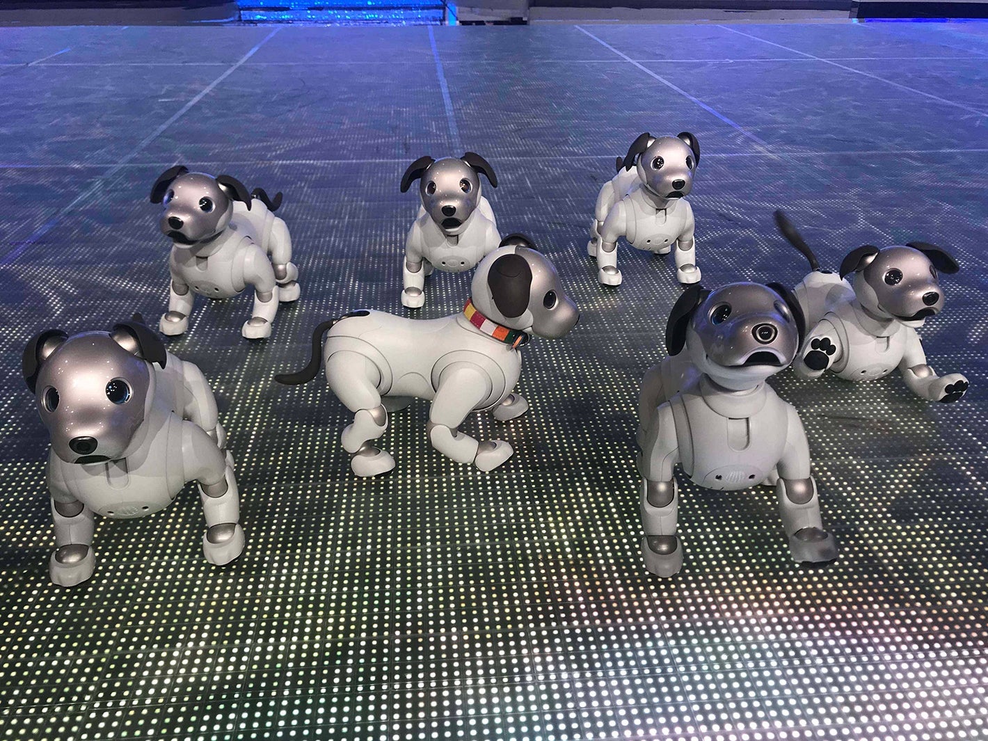 Sexy Zone、夢中になって歌い出し遅れる “予測不能”なコラボに挑戦＜ミュージックステーション リハーサル＞