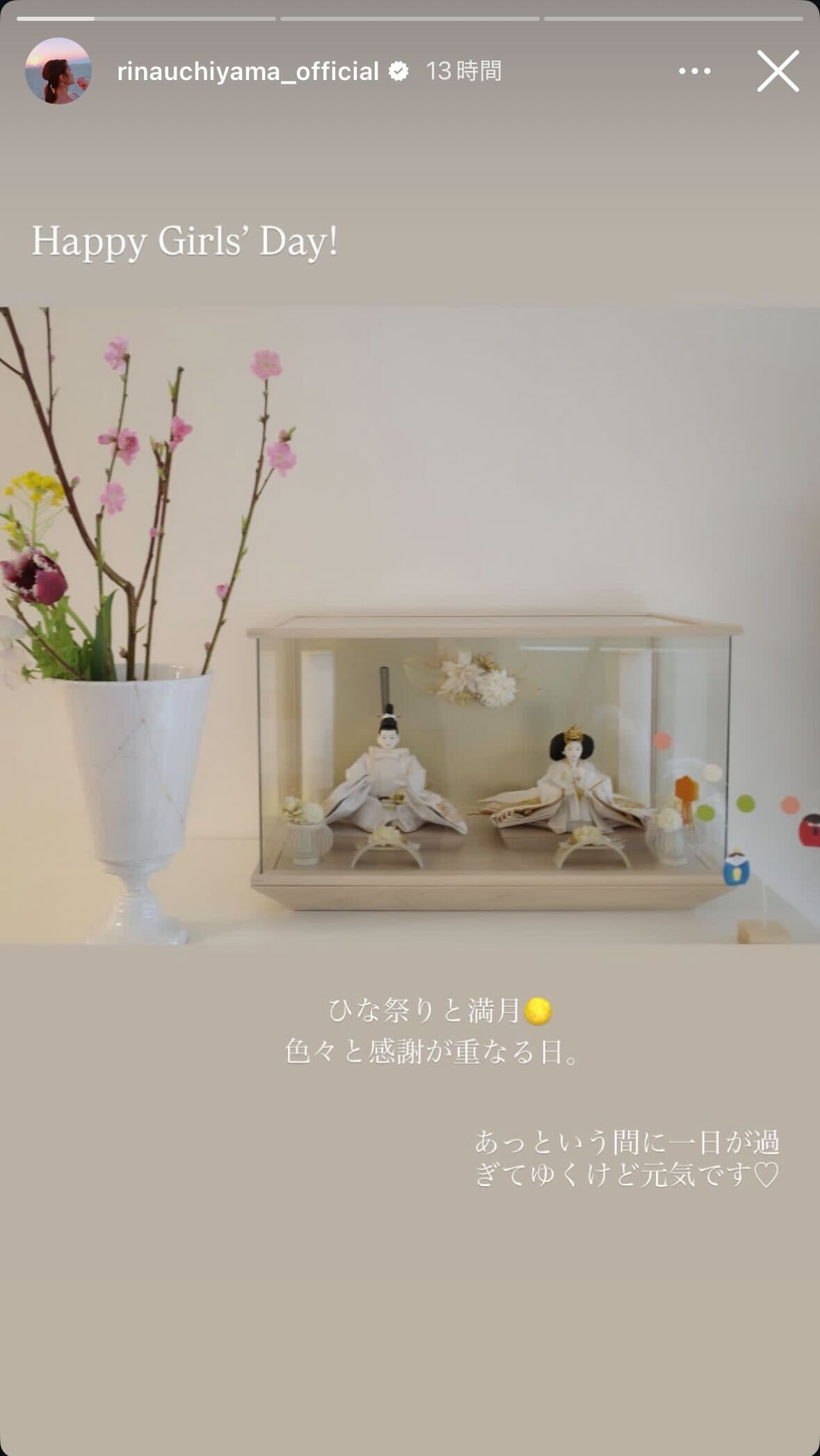 内山理名Instagramストーリーズより