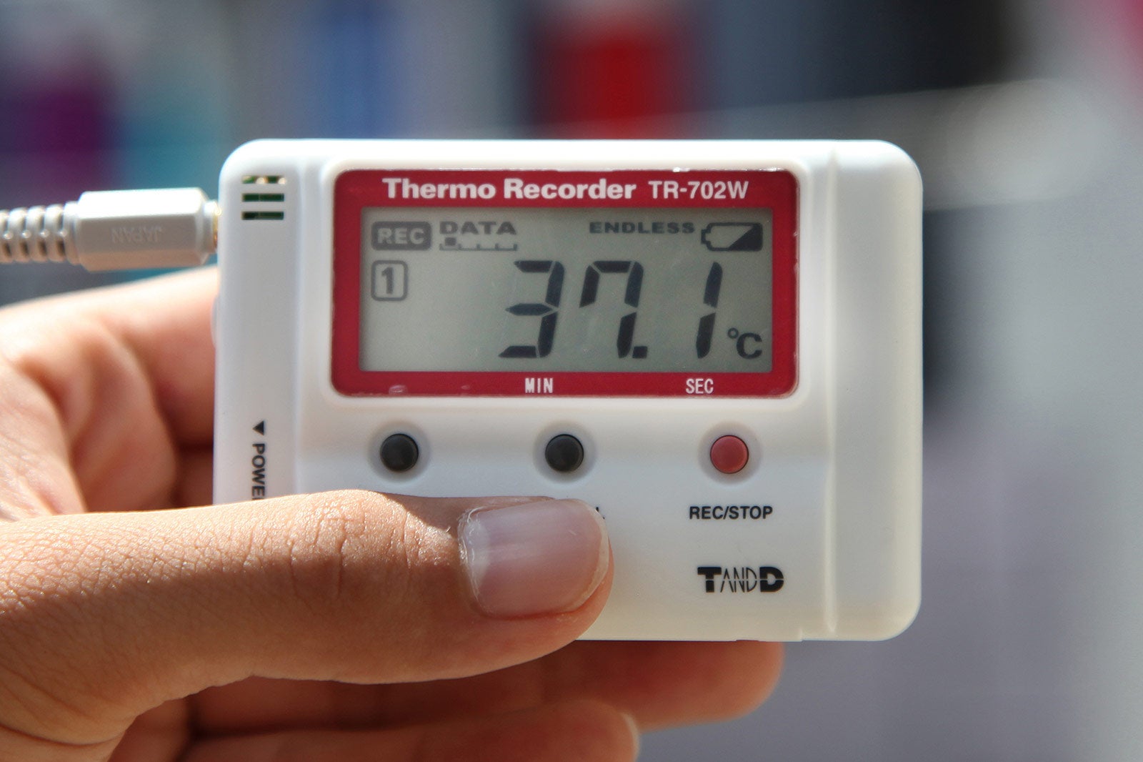 ／画像提供：ユー・エス・ジェイ