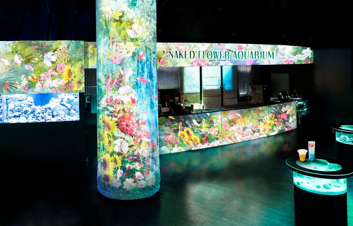 NAKED FLOWER AQUARIUM‐Bring You Happiness‐/画像提供:横浜八景島