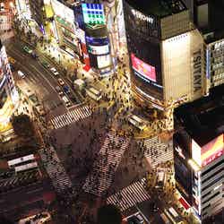 SHIBUYA SKY/屋上からの眺望/画像提供:東日本旅客鉄道