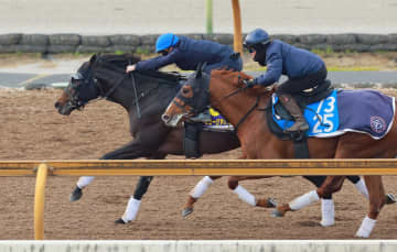 【有馬記念】ミュージアムマイル 驚速自己ベスト6F78秒5“限界突破”の高仕上がり C・デムーロ「前回より上」