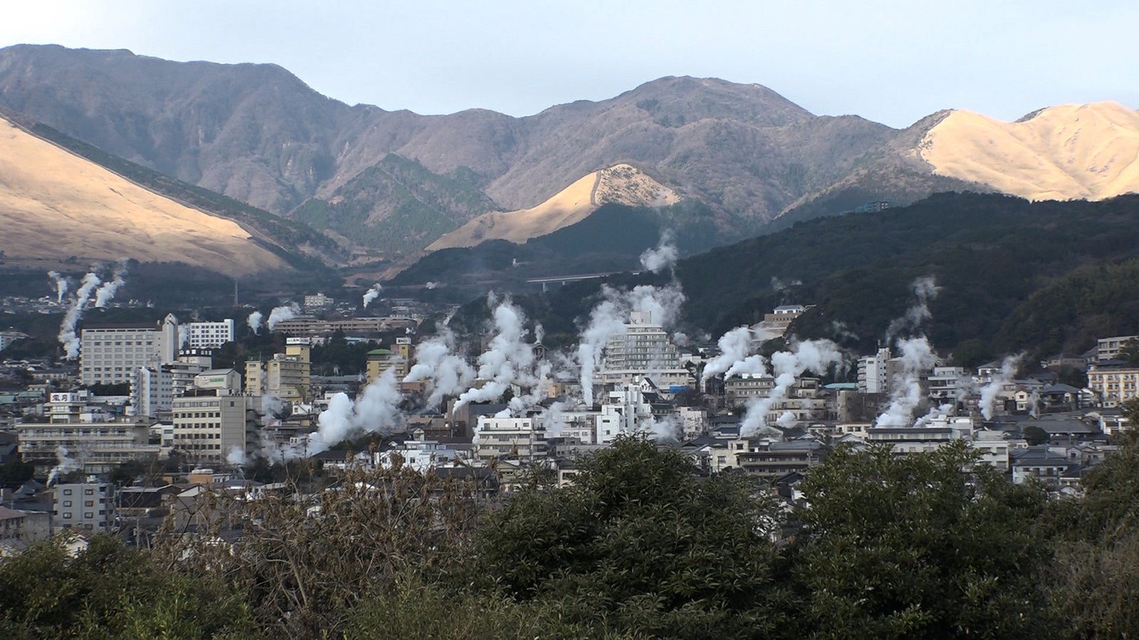 12日放送の「セブンルール」（写真提供：カンテレ）