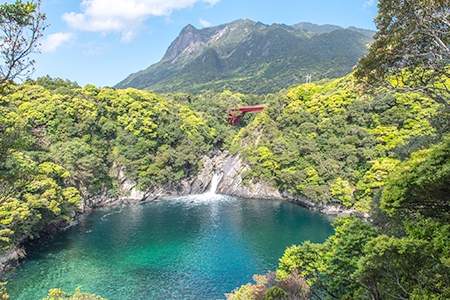 「屋久島」