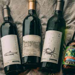 THE NATURE 八ヶ岳/提供画像