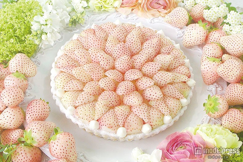 「キル フェ ボン」濃厚＆ジューシーな白イチゴのタルトが登場