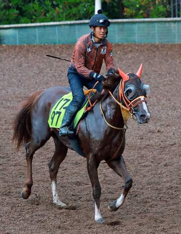 【新馬戦】ハートノート 姉は26年桜花賞馬スターアニス 王道路線で春の大舞台を目指す 高野師「乗り味の良さは姉似」