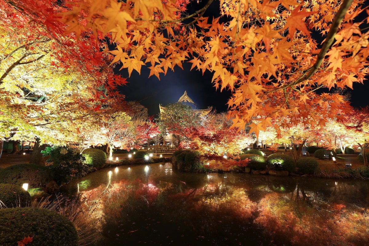 東寺（提供元：東寺）