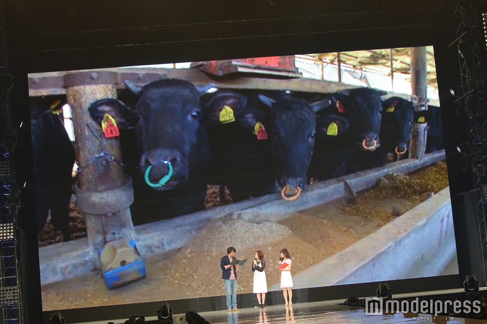 筧美和子が行った牧場のVTR（C）モデルプレス