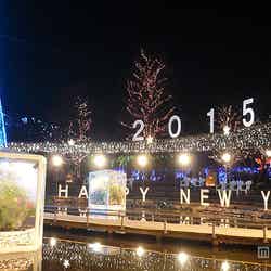 新春イルミネーション/画像提供:足利フラワーリゾート