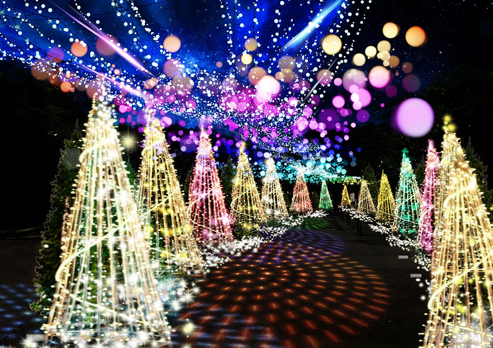 ツリーの森／画像提供：時之栖