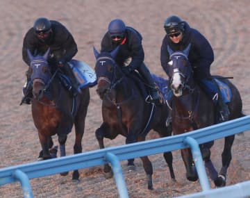 【京成杯】ソラネルマン 堂々最先着！父はフィエールマン 手塚久師「（今回のメンバーなら）互角以上だと思う」初の重賞制覇へ手応えあり