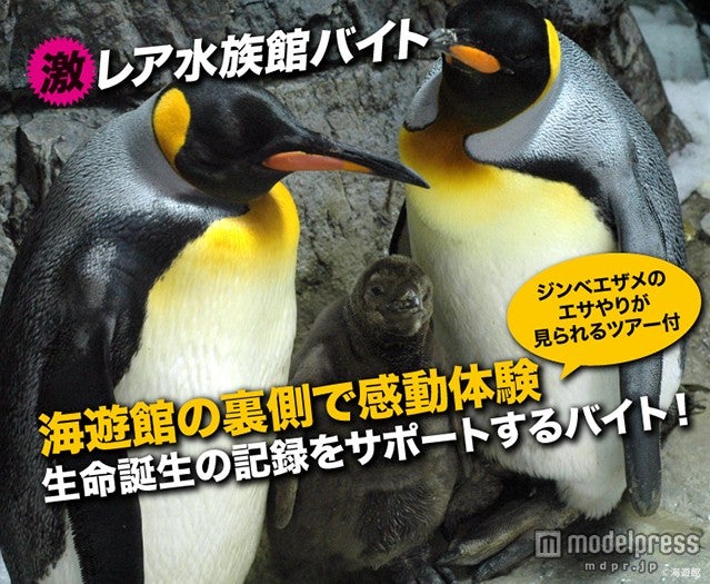 普段見れない動物たちの姿に感動