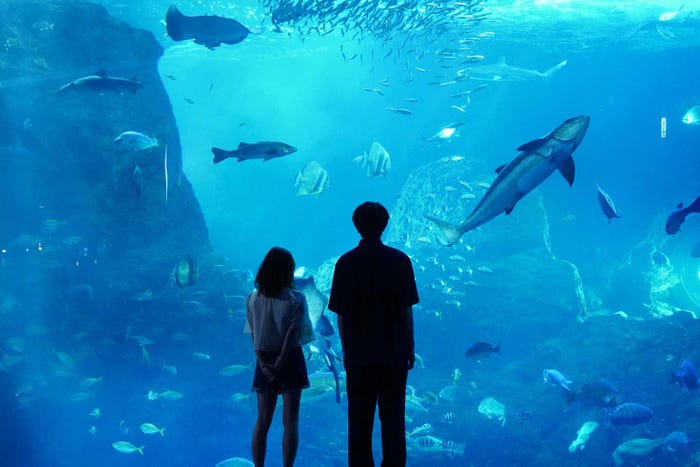 森七菜、間宮祥太朗「真夏のシンデレラ」第10話より(C)フジテレビ