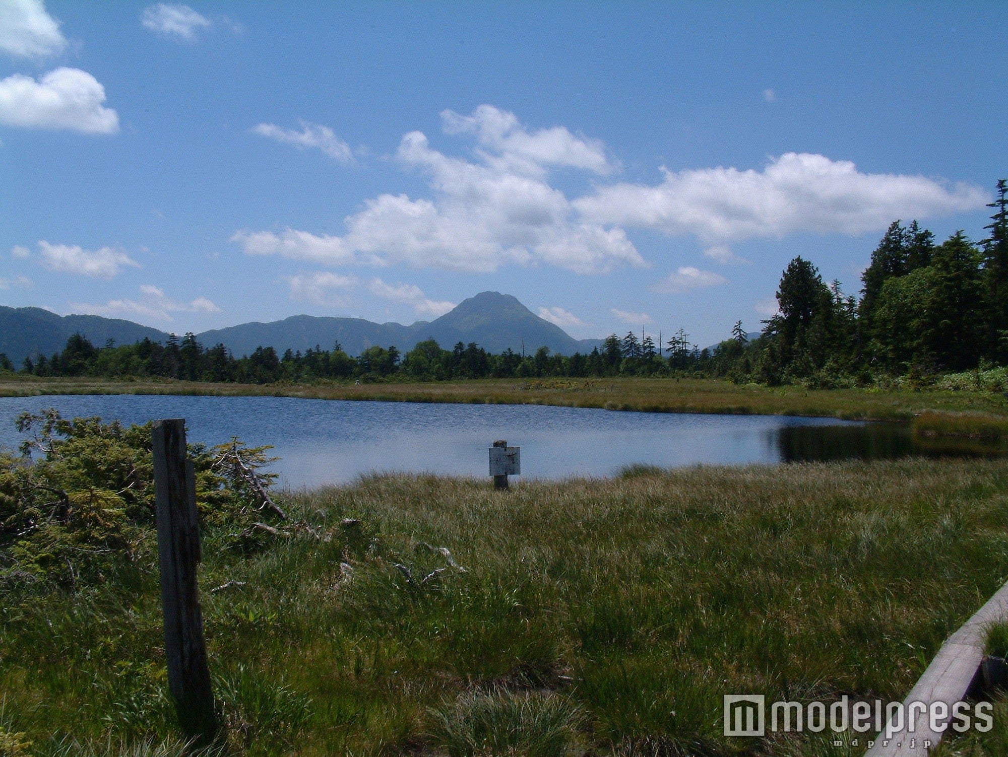 鬼怒沼／画像提供：日光市観光情報発信センター