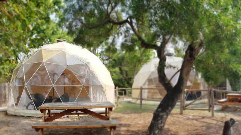 画像提供：香港政府観光局