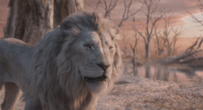 「ライオン・キング:ムファサ」(C)2024 Disney Enterprises, Inc.