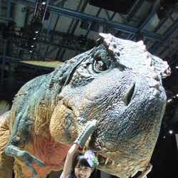 イギリスで「WALKING WITH DINOSAURS」を初観劇した高城れに