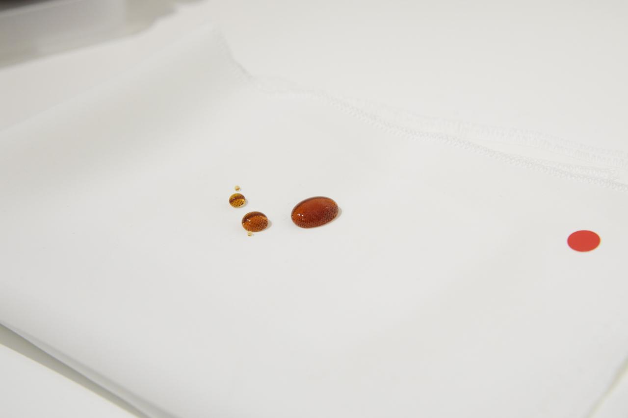 画像: