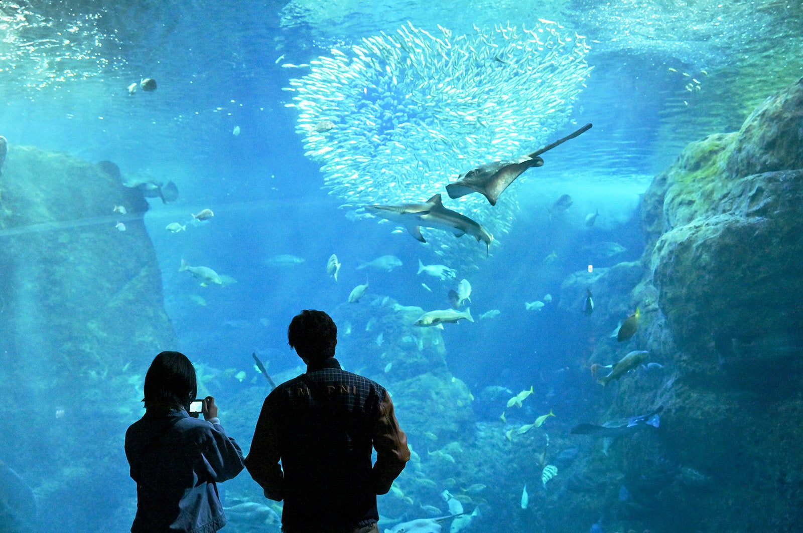 河合優実、岡田将生「不適切にもほどがある！」第7話より（C）TBS