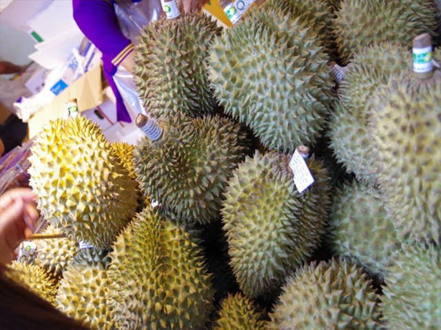 column_e067e6c901f77d57a6bee6d068418531.