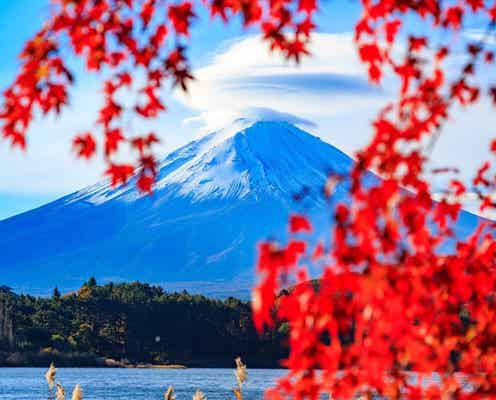 「山梨」に詳しい旅のプロが感動した! 富士山が見える秋の名所3選【2025年最新】